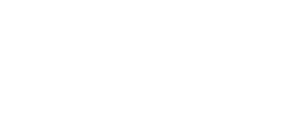 NY v001 invert